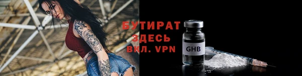 шишки Аркадак