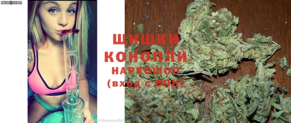 шишки Аркадак