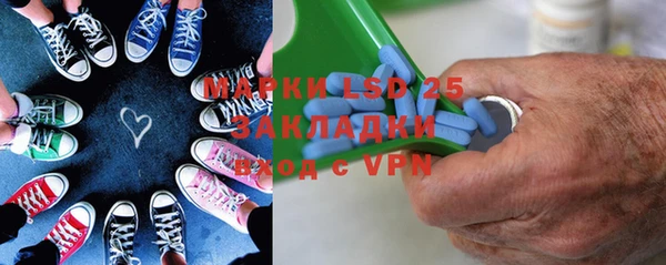 шишки Аркадак