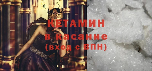 шишки Аркадак
